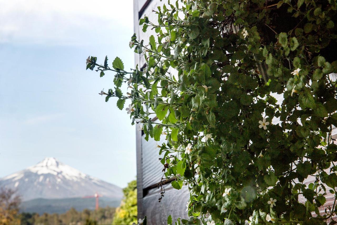 Maki Hotel Pucon Ngoại thất bức ảnh